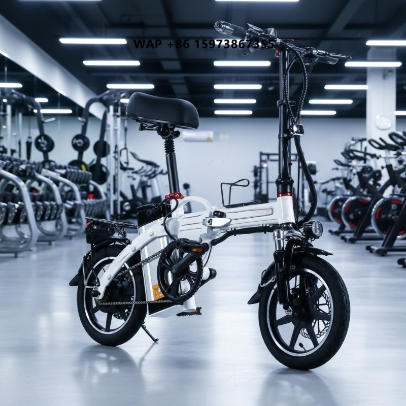 Bicicleta Eléctrica Plegable M - Commuting With Bike reseña y precio